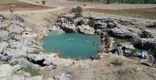 Uyuz Olan Bu Göle Koşuyor