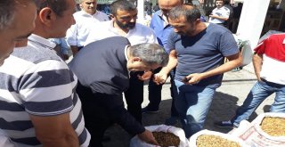 Mhpli Fendoğlu, Nezaket Ziyaretlerine Devam Etti