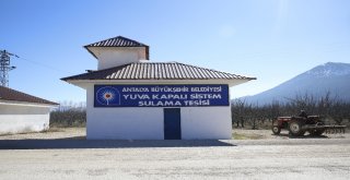 Antalya Büyükşehir Belediyesi, Tarıma 4 Yılda 210 Milyondan Fazla Destek Sağladı