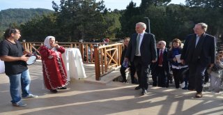 İngiltere Büyükelçisi Chilcottun Sipsi İle Mücadelesi