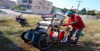 Salça Kazanları Kaynamaya Başladı