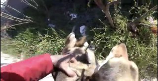 (Özel) E-5 Karayolunda “İnsanlık Ölmemiş” Dedirten Olay