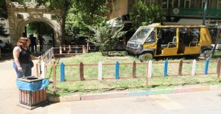 Kedisi Kayboldu, Bir Haftadır Ağlamaktan Gözleri Şişti, 5 Kilo Verdi