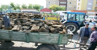 Kömür Fiyatları Yükselince Vatandaşlar Tezek Almaya Başladı