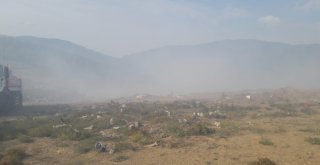 Erdek Çöplüğündeki Yangın Ormana Sıçradı