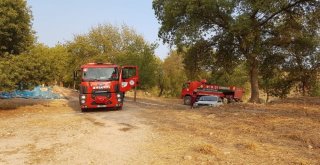 Osmaniyede Bulunan Kastabala Antik Kentinde Orman Yangını Çıktı