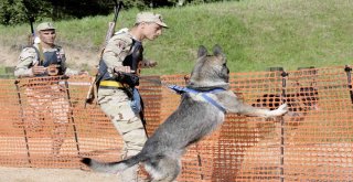 Türk Kinoloji Uzmanları Moskovada Yarışmaya Katıldı