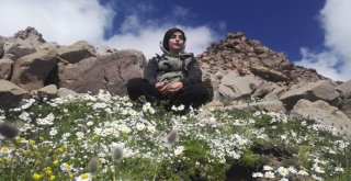 13 Yaşındaki Dağcı Süphan Dağına Tırmandı