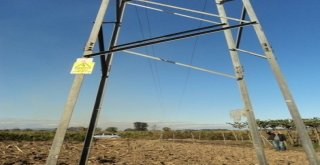 Hırsızların Dadandığı Elektrik Direkleri Tarlalara Devrildi