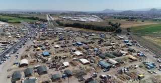 Kurban Pazarındaki Hareketlilik Bayramın 1İnci Günü Arttı