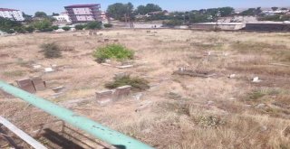 Güroymakta Tarih Mekanlar Aydınlatılıyor