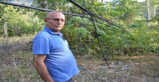 Telefon Telleri Kopunca Dünyayla İletişimleri Kesildi