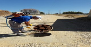 Büyükşehir Kurban Bayramı Öncesi İlaçlamaya Hız Verdi