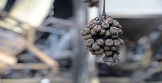 Yanan Fabrikanın Sahibi İle Çalışanları Gözyaşlarına Boğuldu