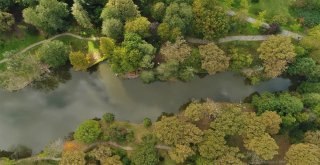 (Özel) Sonbaharın Renklerine Bürünen Atatürk Arboretumu Havadan Görüntülendi