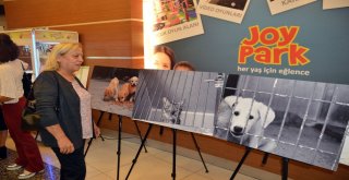 Beni Terk Etme Sergisi Açıldı