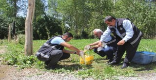 Başkalede Bakkallar  Ve Marketler Denetlendi