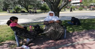 Afyonkarahisarda Kpss Heyecanı