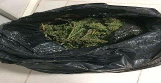 5 Kilo Esrarla Yakalanan 2 Şüpheli Tutuklandı