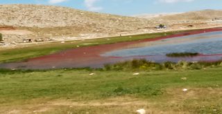 Alanyada Kırmızıya Dönen Göl Şaşırttı