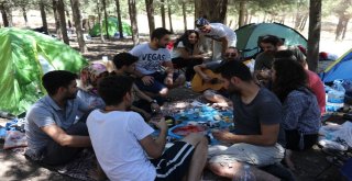 Hafta İçi İşe Gidiyorlar, Hafta Sonu Ormanda Kamp Yapıyorlar