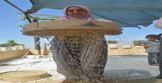 Hububatçılar: “Bize Buğday İthal Etmek Yakışmıyor”