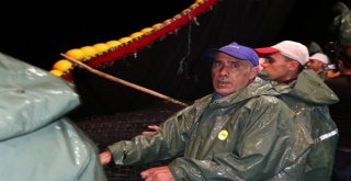 Yalova Ve Bursada Balıkçılar Vira Bismillah Dedi Kasalar Hamsiyle Doldu