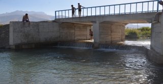 Yüksekovalı Gençler Köprücük Deresinde Serinliyor