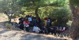 Çanakkalede 106 Kaçak Göçmen Yakalandı