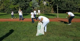 Çevre Gönüllüleri, Kıyı Ve Denizlerde Çöp Toplayıp Temizlik Yaptı