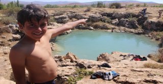 Uyuz Olan Bu Göle Koşuyor