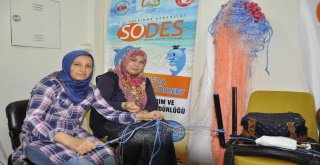 Dörtyolda Deniz Daha Cömert Projesi