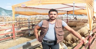 Celeplerin Umudu Arefe Gününe Kaldı