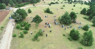 Doğa Dostu Belediye Başkanı, Vatandaşlarla Birlikte Çöp Topladı