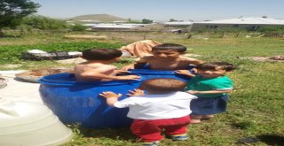 Ağrıda Sıcaktan Bunalan Çocuklar Su Dolu Varillerde Serinliyor