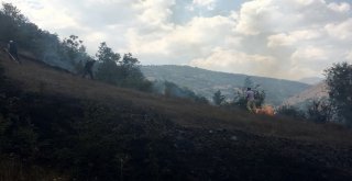 Gümüşhanede Örtü Yangını