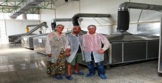 İtalyada Gördü, Türkiyede Uyguladı