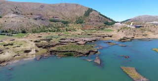 Bu Adacıklar Yerinde Durmuyor