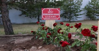 Şehit Annenin Ağabeyi: Kıyamadığımız Kız Kardeşimize Zalimler Kıydı