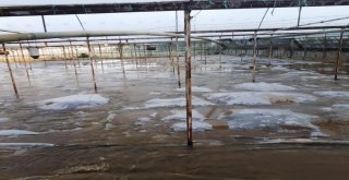 Antalyada Yaz Ayında Seraları Su Bastı