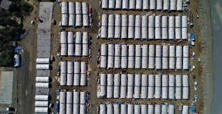 (Özel) Besicilerin 24 Saat Kurban Nöbeti