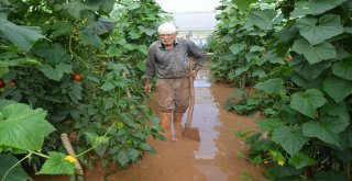 Sel Sonrası Seralara Giren Üreticileri Gördükleri Manzara Üzdü