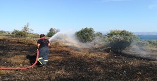 Boş Arazide Çıkan Yangın Zeytin Ağaçlarına Sıçradı