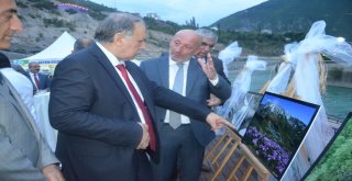 Artvin Kültür Sanat Ve Yöresel Ürünler Tanıtım Fuarı Başladı