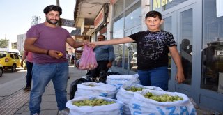 İhtiyaçlarını Yerli Elma Satışıyla Karşılıyorlar
