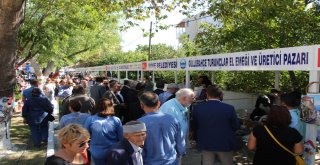 Sökede Turunçlar El Emeği Ve Üretici Pazarı Açıldı