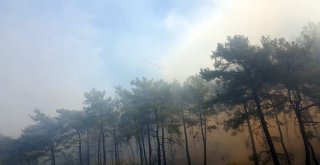 Antalyada Orman Yangını (1)