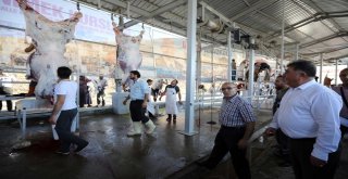 Yenimahallede Kurban Bayramı Coşkusu