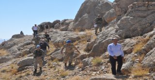 Üç İli Kapsayan Faraşin Yaylası Operasyonu Tüm Hızıyla Devam Ediyor