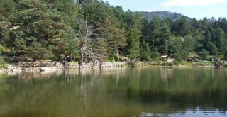 Limni Gölü Rekor Tazeledi